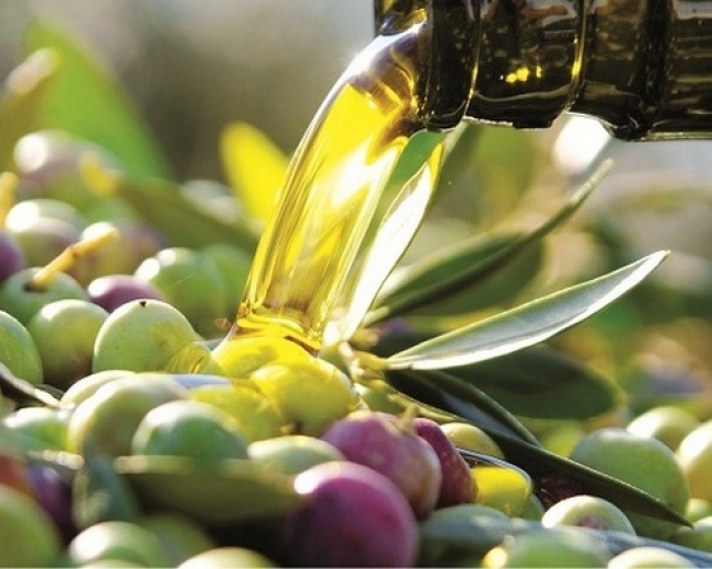 Olive belle e raccolto raddoppiato, l’extravergine in risalita dopo un 2014 da dimenticare