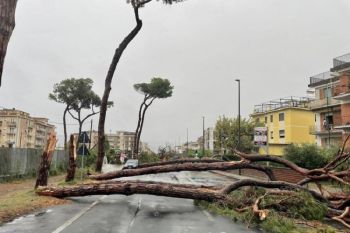 Apre ad aprile il Fondo di Garanzia di Regione Liguria per le imprese danneggiate dal maltempo dello scorso novembre