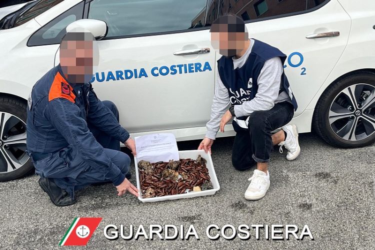 Sequestrati 2kg di datteri di mare, la Guardia Costiera della Spezia smantella una filiera illegale