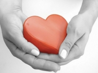 Settimana nazionale della donazione di organi, le iniziative alla Spezia