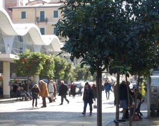 Polizia Locale in Piazza Cavour contro l&#039;accattonaggio molesto