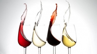 Corso su degustazione di vini e distillati