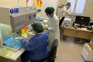 Vaccino anti-Covid, 16mila dosi in arrivo in Liguria