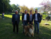 Inaugurata in Viale Alpi la nuova area verde per la sgambatura dei cani
