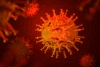 Coronavirus: nello spezzino 660 casi e 13 persone in ospedale