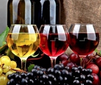 Wine Bar Pontedera. BRUGAL WINE BAR