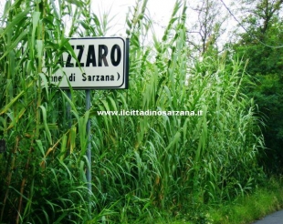 IlCittadinoSarzana: la situazione delle strade di San Lazzaro (Foto)