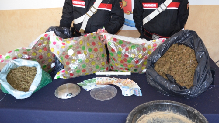 La Spezia: trovati dodici kg di droga in un bidone per le olive interrato nei boschi