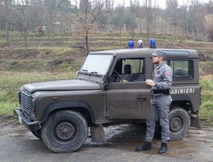 Carabinieri Forestali, un anno di attività per la tutela del territorio