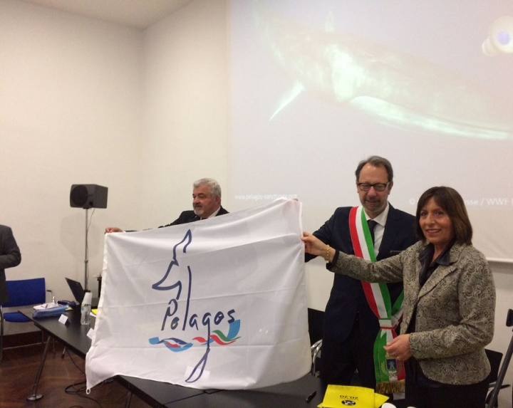 Sulla Spezia sventola la bandiera del Santuario dei Cetacei