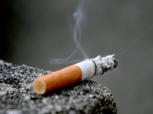 Arcola, getta una sigaretta e causa un incendio: denunciata 60enne