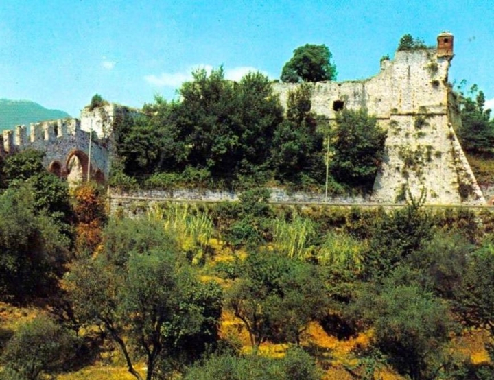 Dopo 100 anni torna la raccolta delle olive al Castello San Giorgio