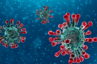 Coronavirus: quali sono tutte le varianti che circolano in Italia?