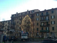 Caritas dona l&#039;albero di Natale a Pegazzano