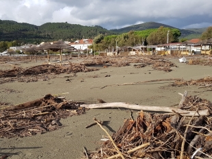 Sarzana, i cittadini potranno recuperare la legna sul litorale