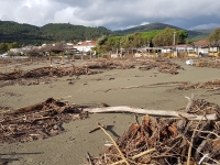 Sarzana, i cittadini potranno recuperare la legna sul litorale