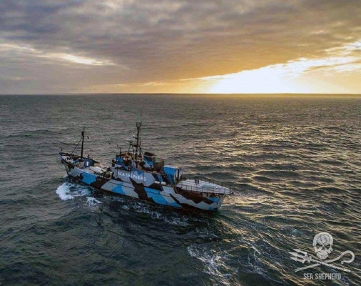 “L&#039;invasione della plastica e la tutela del mare”: Sea Shepherd torna a Lerici