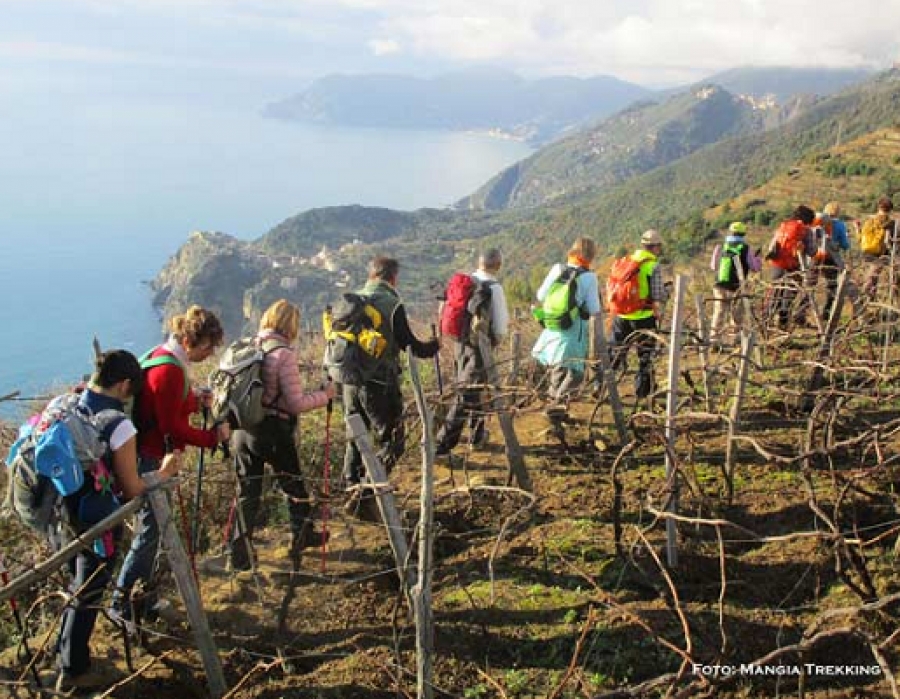 Parco Nazionale Delle Cinque Terre E Associazione Mangia Trekking Siglata La Convenzione