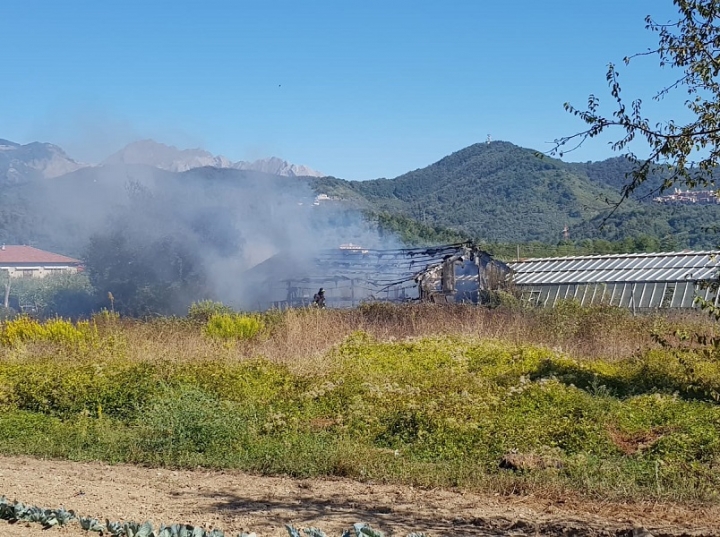 Castelnuovo Magra, incendio tra Molicciara e Palvotrisia (video)