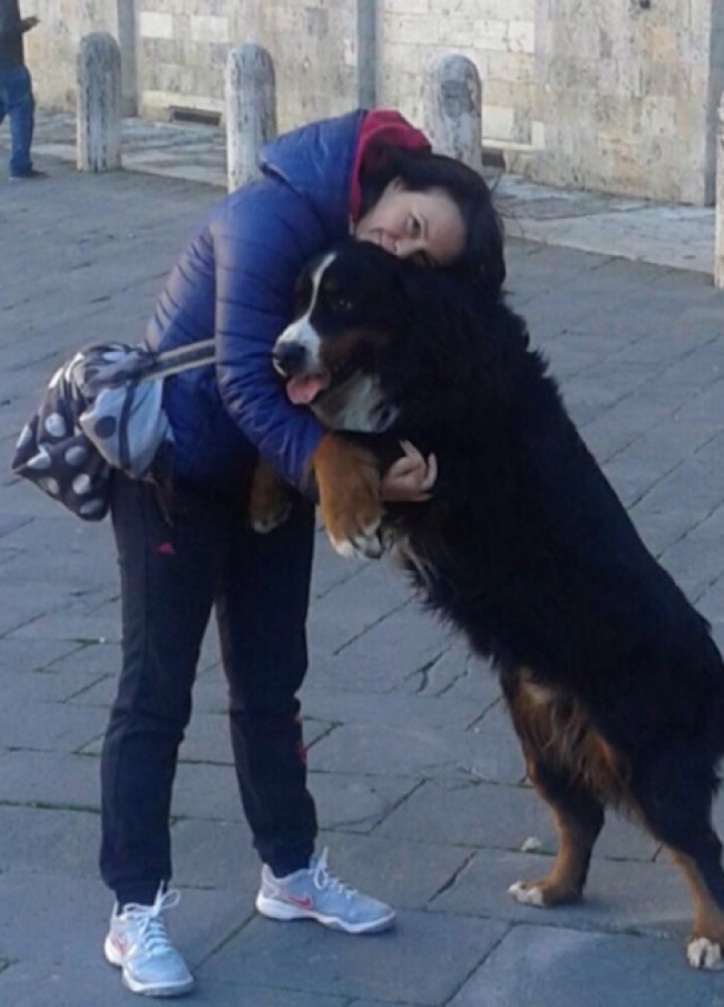 Dog Sitter Santa Croce sull&#039;Arno. IL COLLARE DI BRILLANTI