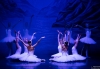 Il Balletto di San Pietroburgo alla Spezia con &quot;Il lago dei cigni&quot;
