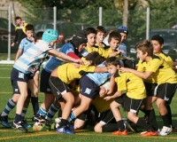 Rugby: sconfitte per Under 18 ed Under 16, prima vittoria per l&#039;Under 12