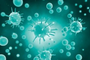 Coronavirus: 50 nuovi positivi in Asl5, stabili gli ospedalizzati