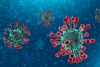 Coronavirus: 194 nuovi casi in Liguria, calano gli ospedalizzati