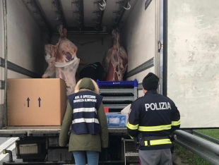 Sequestrati oltre 400kg di carne