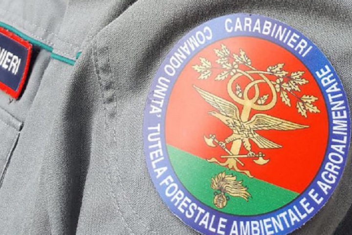 Deposito illecito di rifiuti: i Carabinieri Forestali sequestrano un’area e un fabbricato