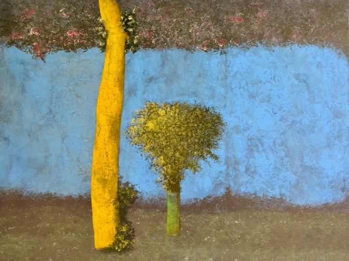 “Storie di alberi”, a Massa la mostra di Piero Mosti