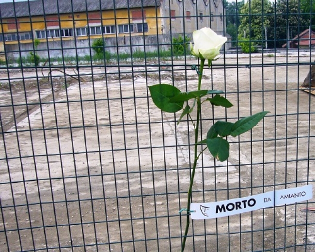 Giornata Mondiale delle vittime dell&#039;Amianto: il Comune della Spezia presente alla conferenza nazionale a Roma